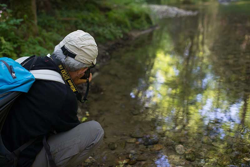 photographe charente-maritime