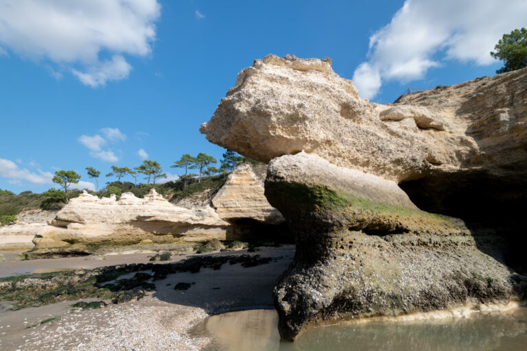 Lire la suite à propos de l’article Stage photo Côte de Beauté le 2 juillet 2022