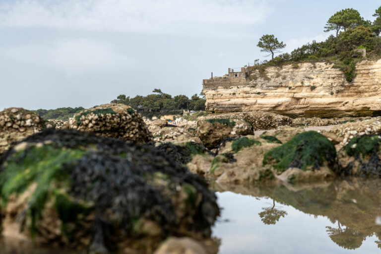 Lire la suite à propos de l’article Retour en images sur le stage photo sur la côte de beauté du 21 mai 2022