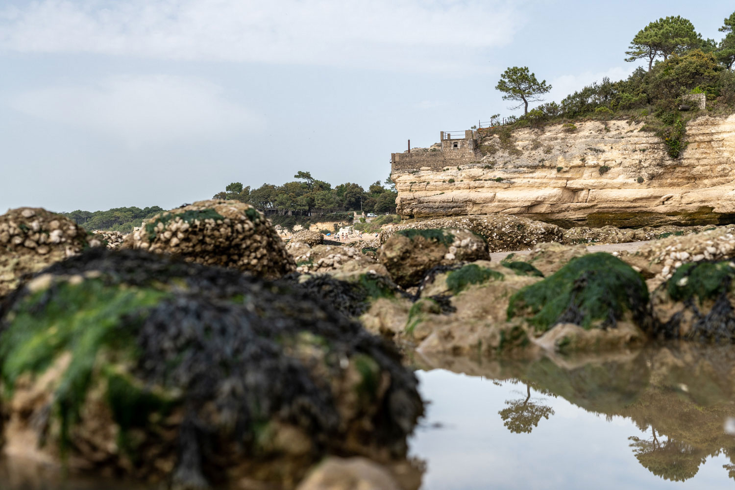 Lire la suite à propos de l’article Retour en images sur le stage photo sur la côte de beauté du 21 mai 2022