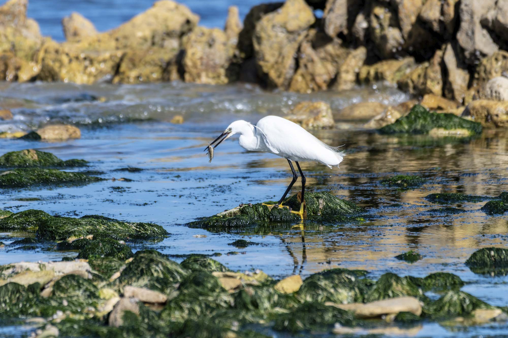 Lire la suite à propos de l’article Retour en images sur le stage photo sur l’île d’Oléron le 9 juin 2022