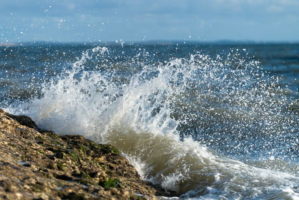 stage paysage charente-maritime