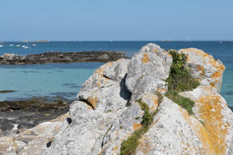 Lire la suite à propos de l’article Rando-découverte : La baie des Anges