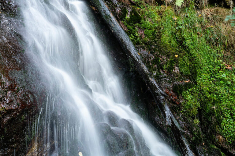 Lire la suite à propos de l’article Retour en images du stage en Ariège Pyrénées du 6 et 7 octobre 2022