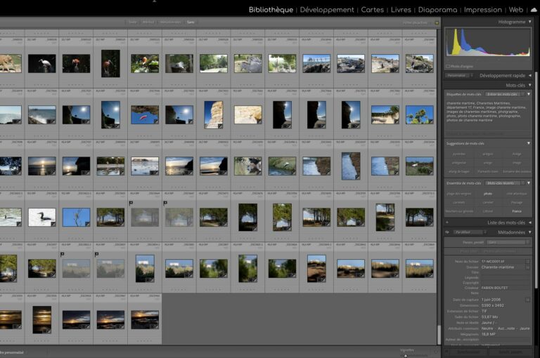 Lire la suite à propos de l’article Prolonger le stage photo avec les cours Lightroom