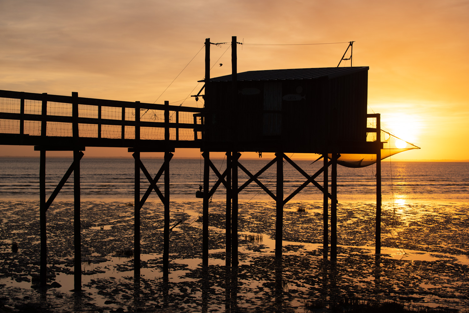 Lire la suite à propos de l’article Stage photo sur la côte de Beauté le 14 avril 2023