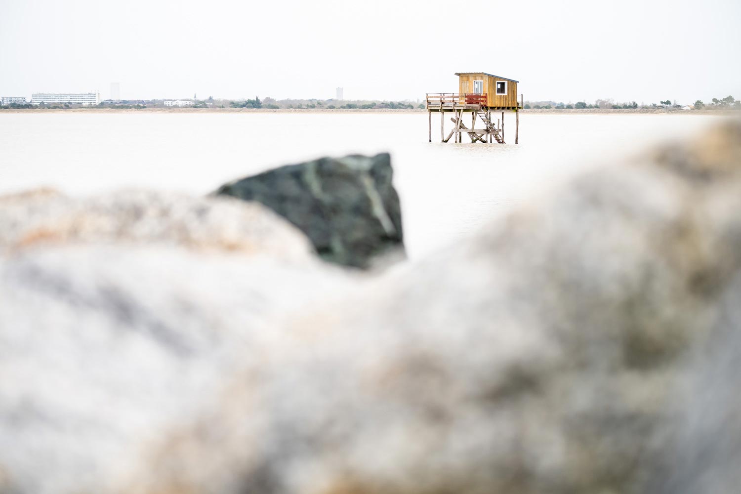 Lire la suite à propos de l’article Retour en images du stage photo à la Rochelle de mars 2023