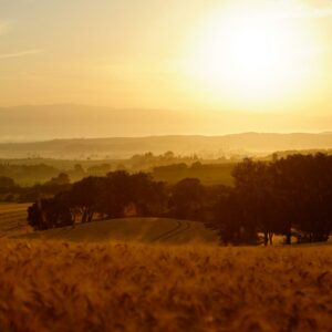 Stage photo “Regards sur le Lauragais”