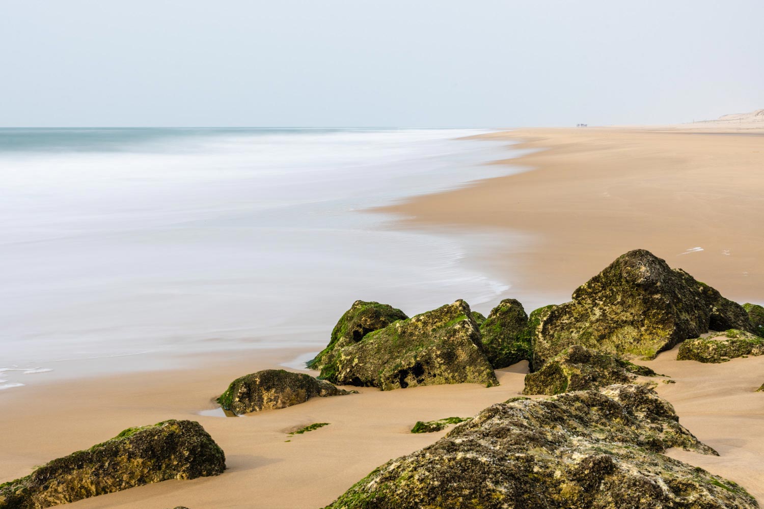 Lire la suite à propos de l’article Retour en images du stage pose lente du 2 mars 2023