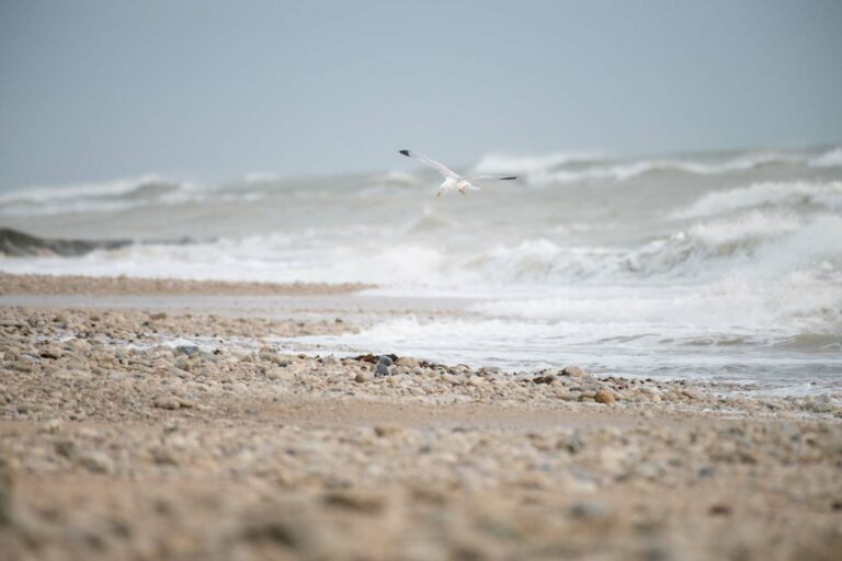 Lire la suite à propos de l’article Stage photo sur l’île de Ré le 1er juin 2023