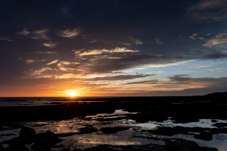 Lire la suite à propos de l’article Stage photo à l’île d’Oléron les 8 et 29 juin 2023