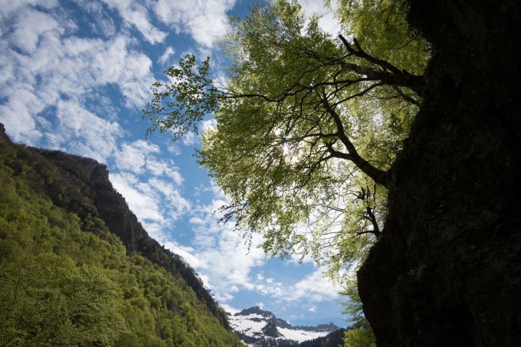 randonnée cascade ars