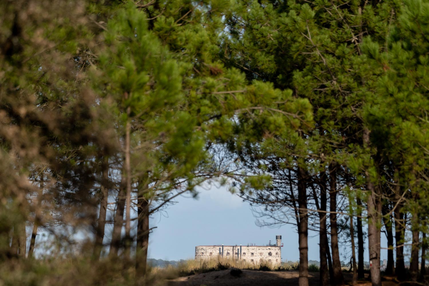 Lire la suite à propos de l’article Mes lieux préférés pour faire des photos sur l’île d’Oléron