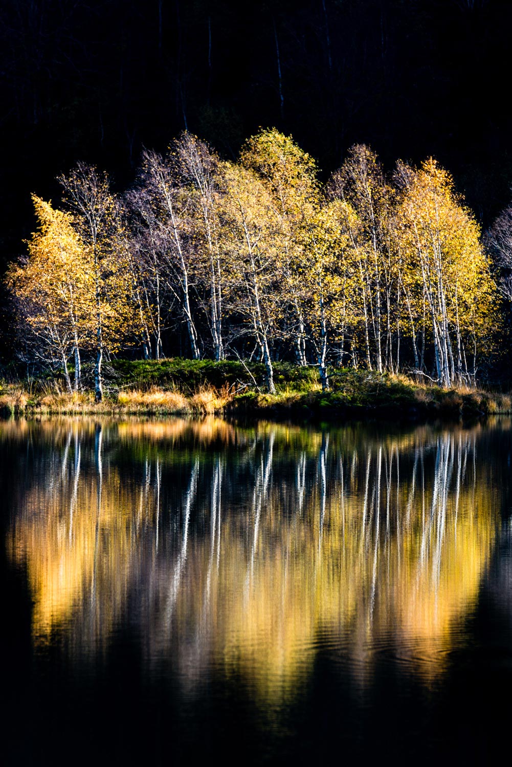 stage photo nature pyrénées