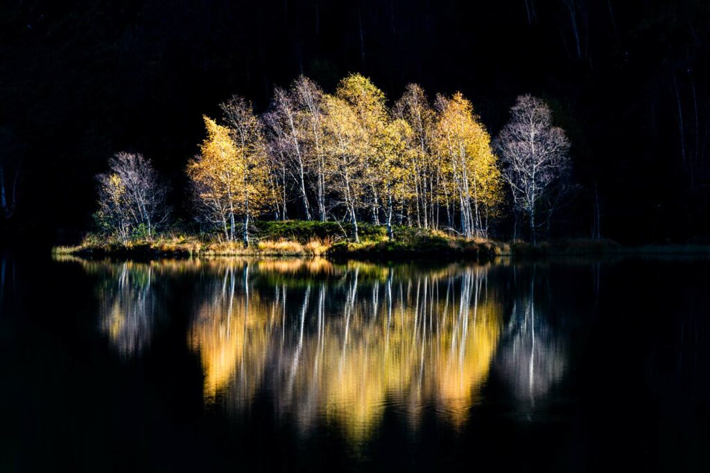 stage photo nature pyrénées