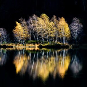 Stage photo « Automne sur les Pyrénées »