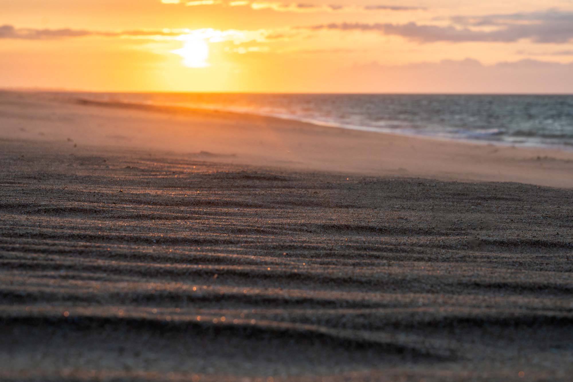 Lire la suite à propos de l’article Retour en images du stage photo sur l’île d’Oléron en juin 2023