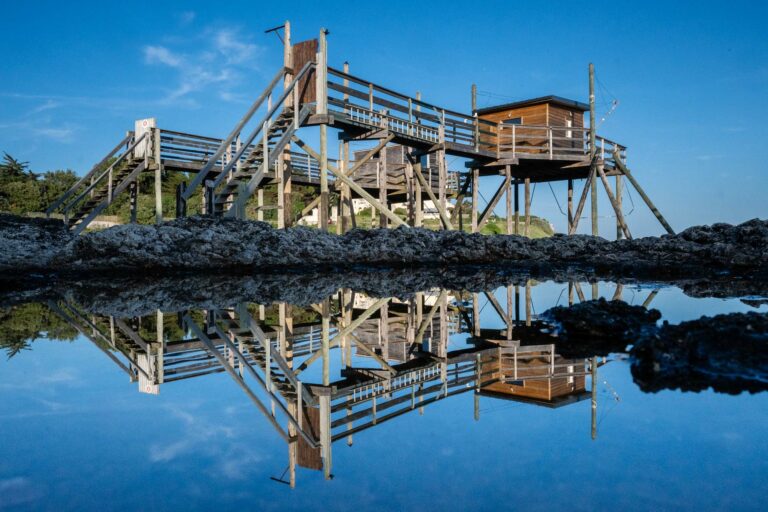 Lire la suite à propos de l’article Retour en images du stage photo à Royan en juin 2023