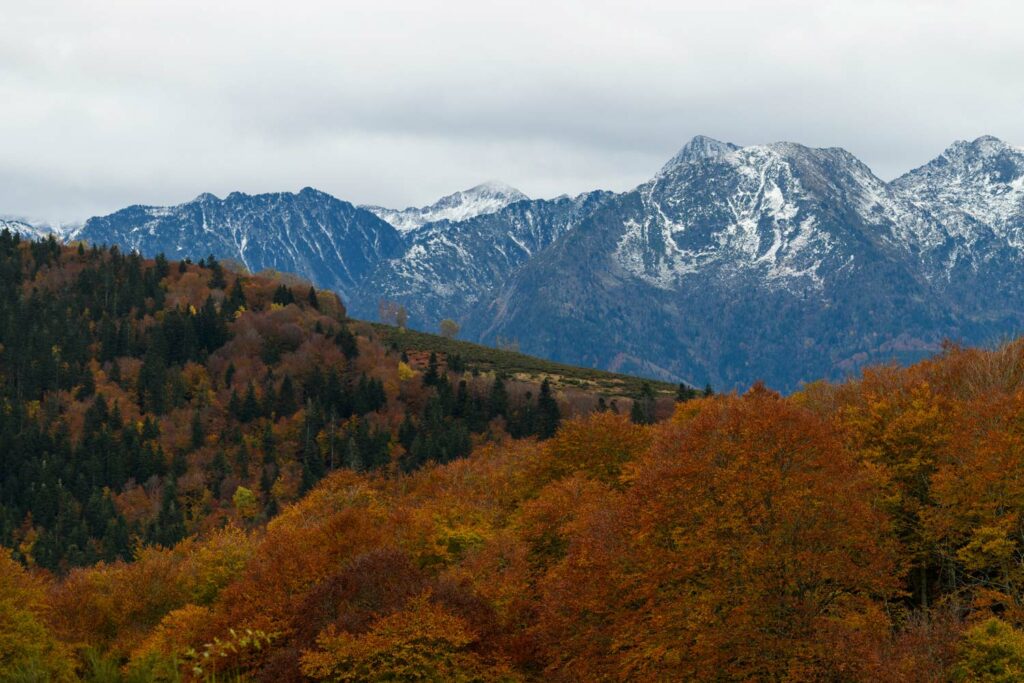 stage photo automne