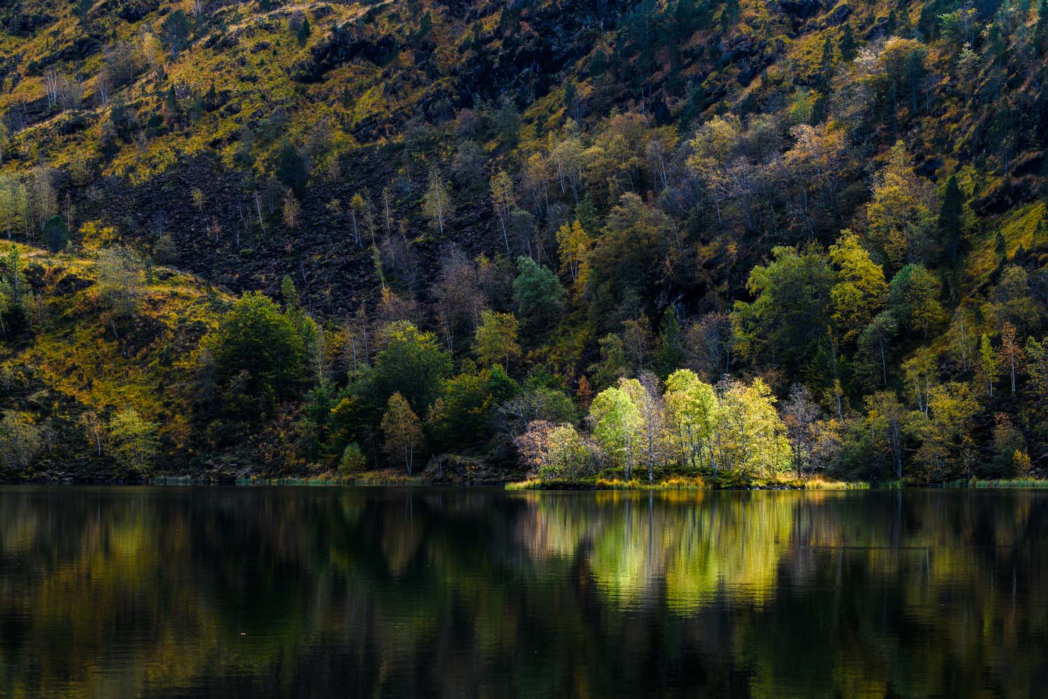 Lire la suite à propos de l’article Retour en images du stage pose lente en Ariège