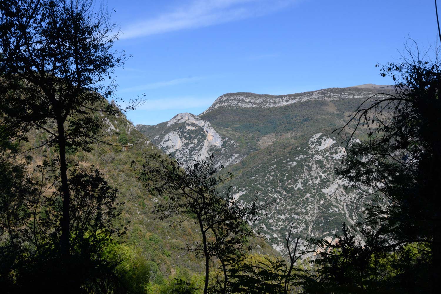 Lire la suite à propos de l’article Rando-découverte :  Col de Larnat