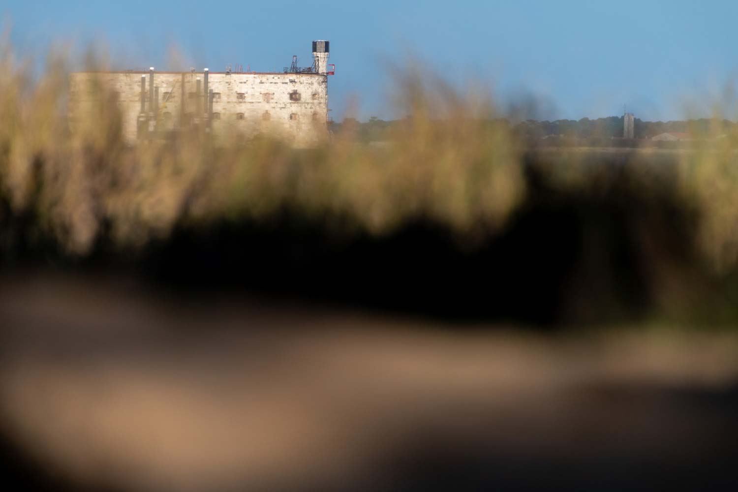 la pointe des saumonards sur l'ile d'oléron