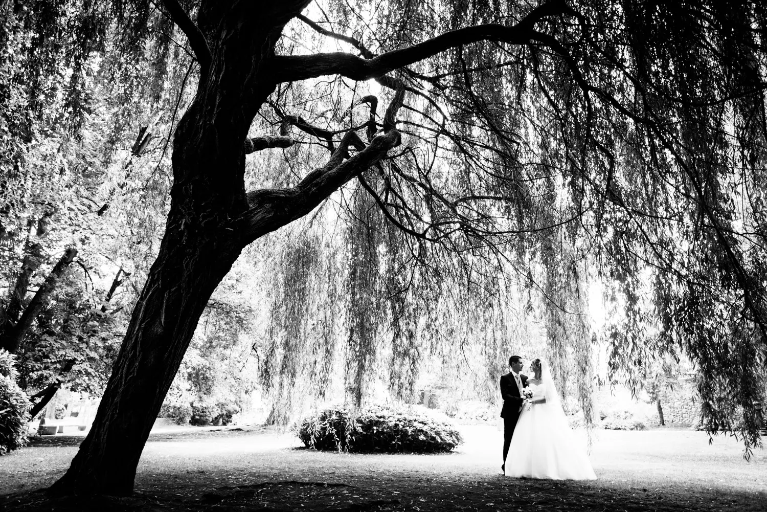 photographe mariage pamiers