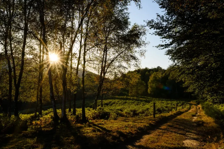 Lire la suite à propos de l’article Rando-Découverte : Le col de Blazy et de l’Homme