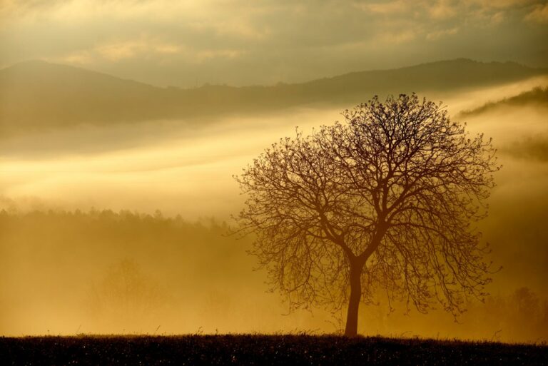 Lire la suite à propos de l’article Stage photo paysage en Ariège – 23 mai 2024