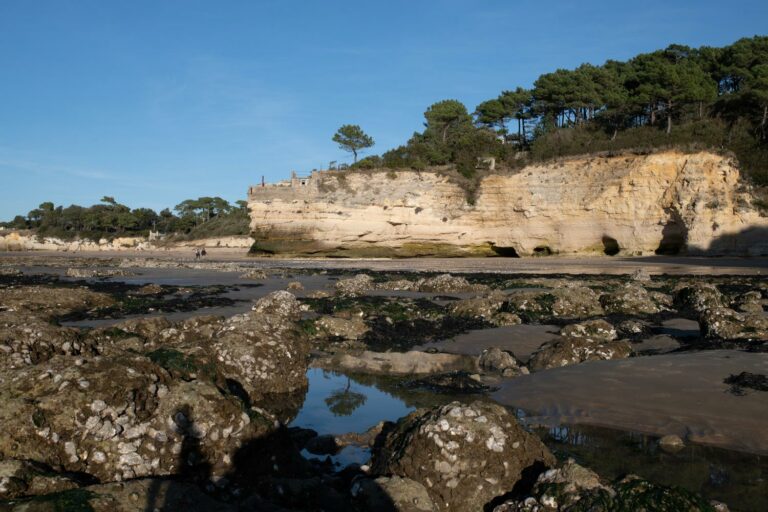 Lire la suite à propos de l’article Mes conseils photos : Saint Georges de Didonne