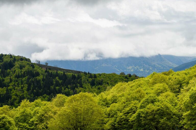 Lire la suite à propos de l’article Retour en images du stage paysage ariège en mai