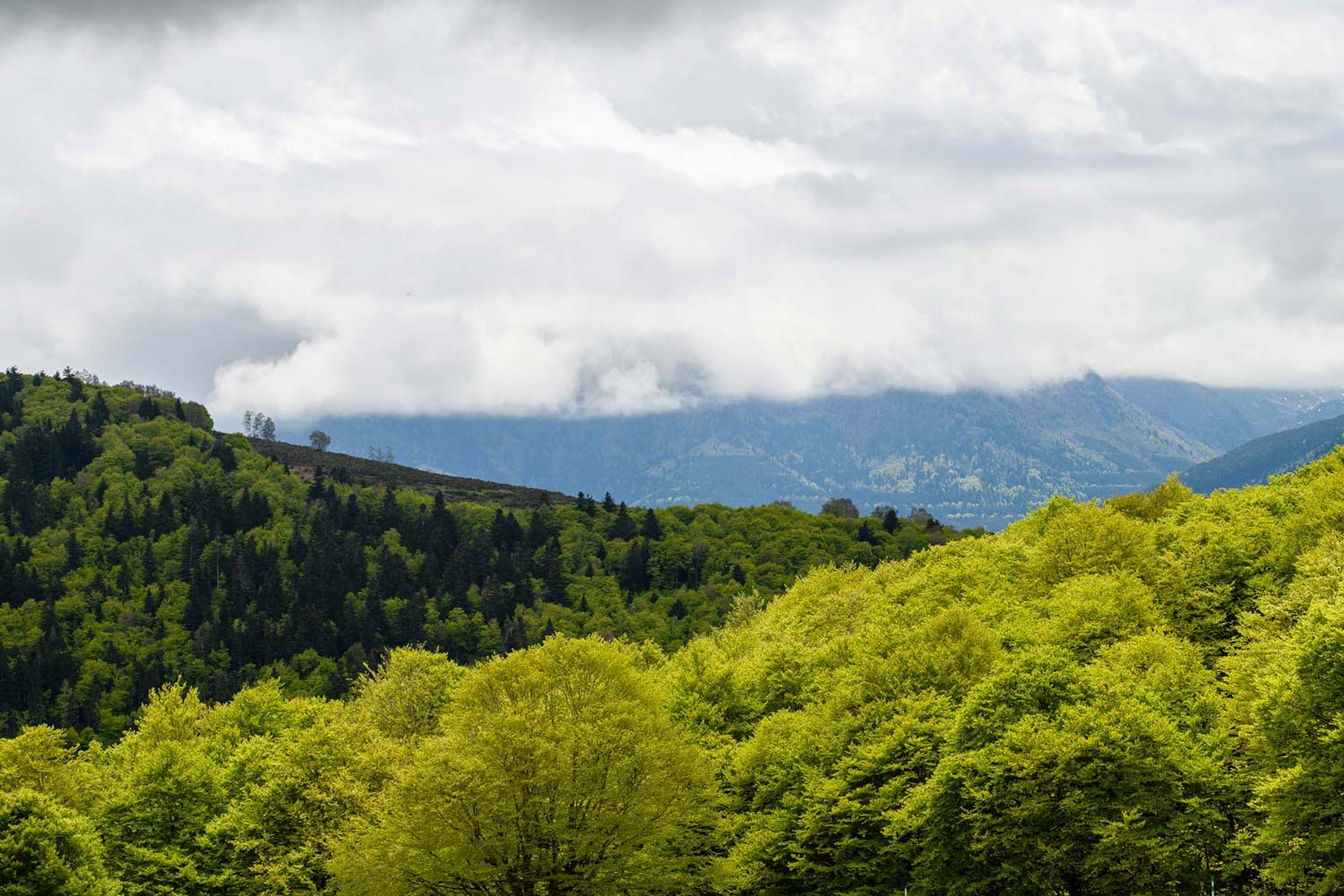 Lire la suite à propos de l’article Retour en images du stage paysage ariège en mai