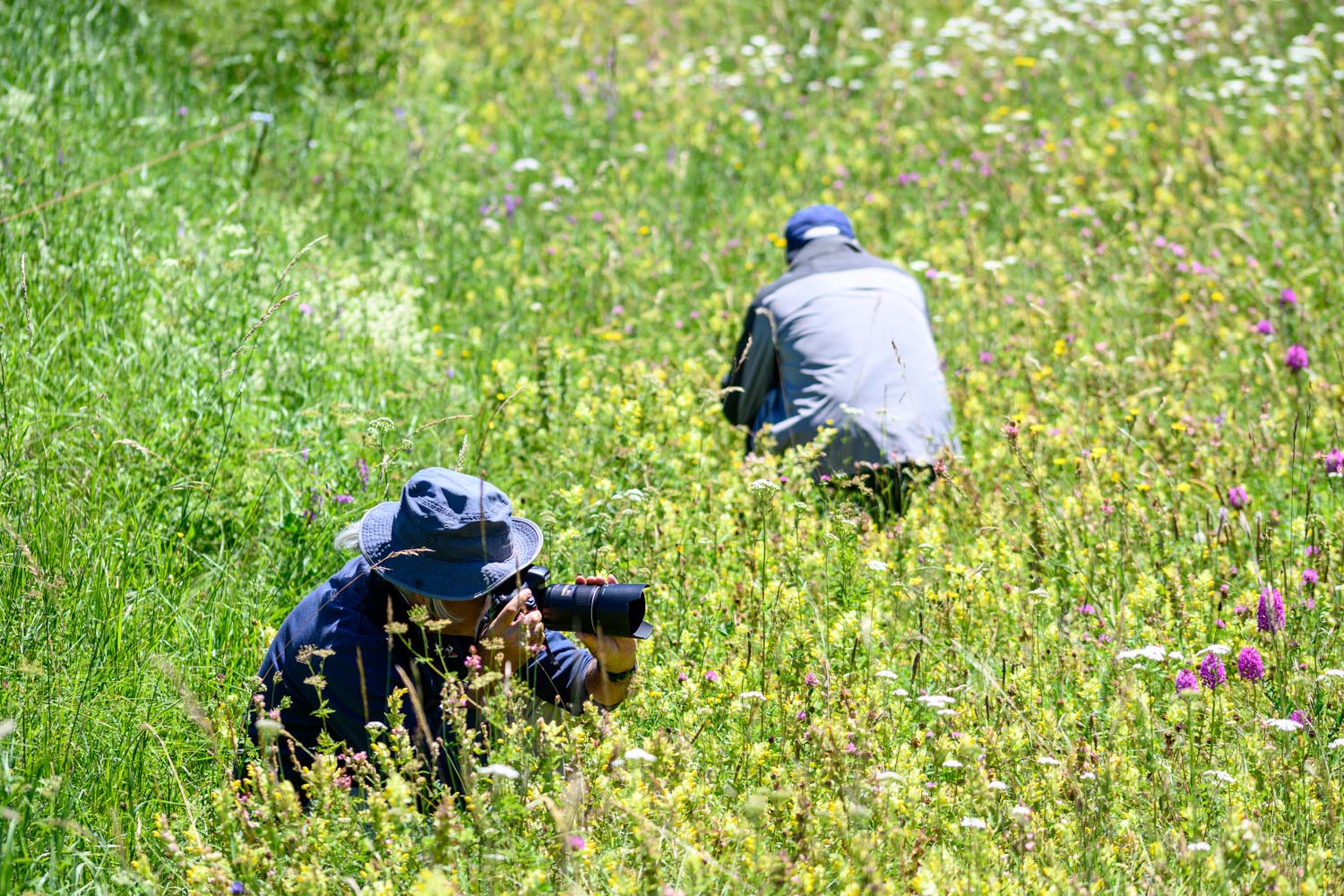 Lire la suite à propos de l’article Retour en images du stage Macro en Ariège