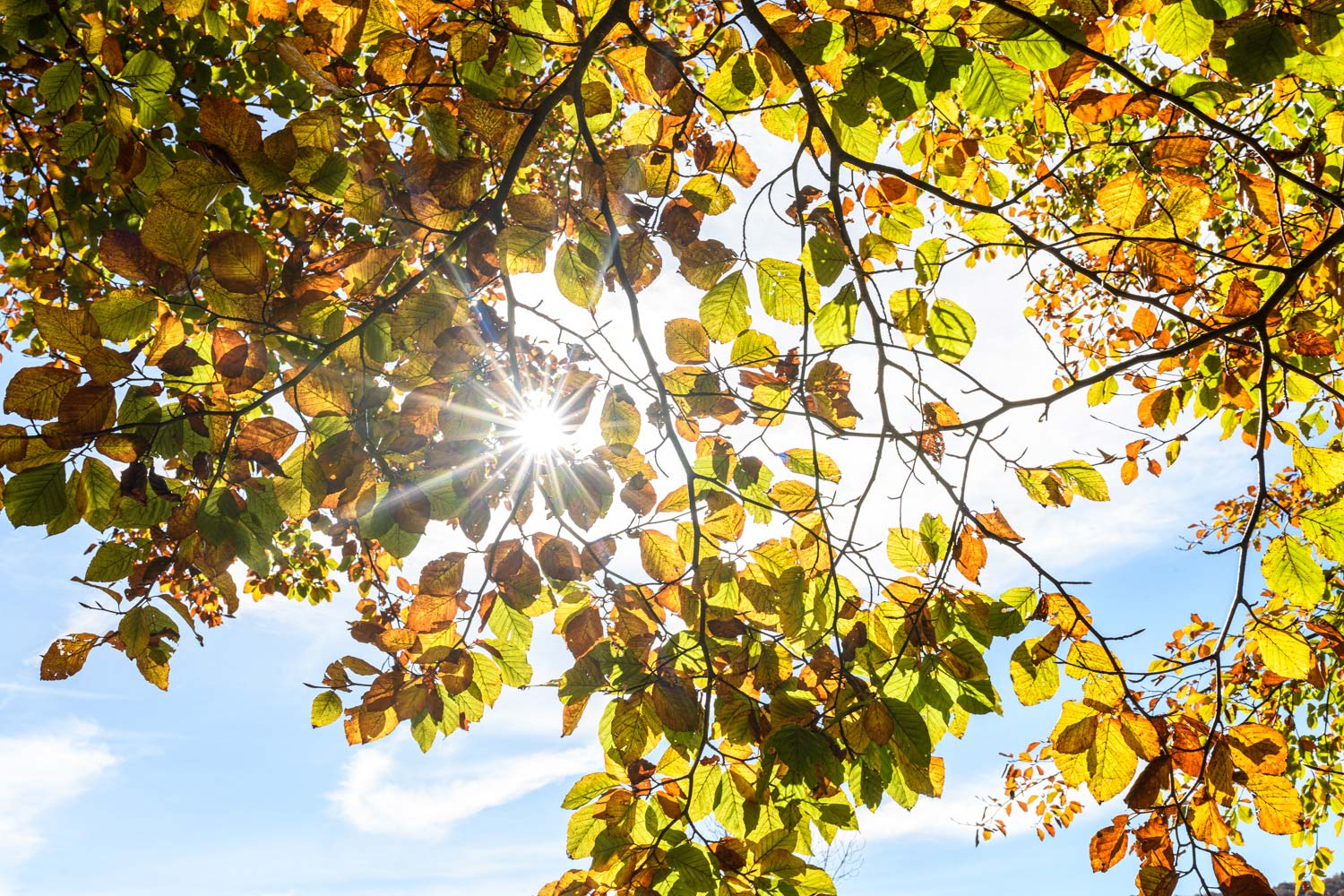 Lire la suite à propos de l’article Retour stage Automne dans les Pyrénées – Novembre 2024