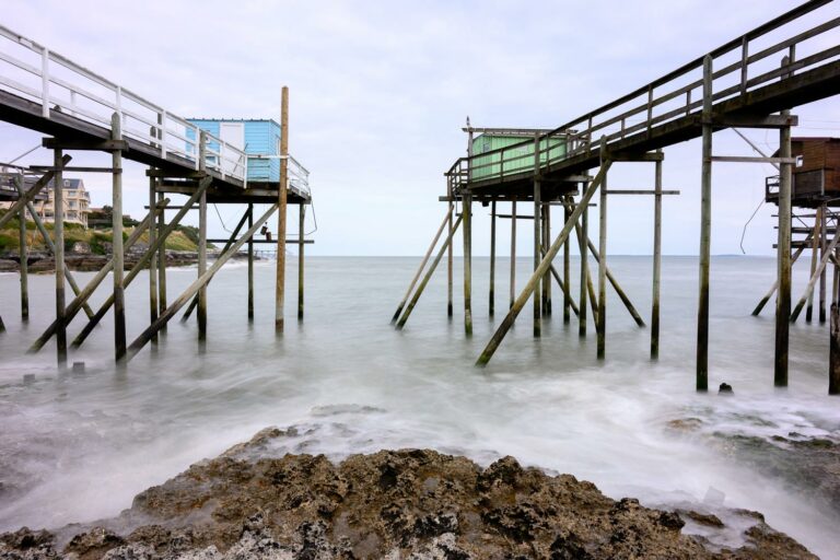 Lire la suite à propos de l’article Retour stage photo Côte de Beauté – Juin 2025