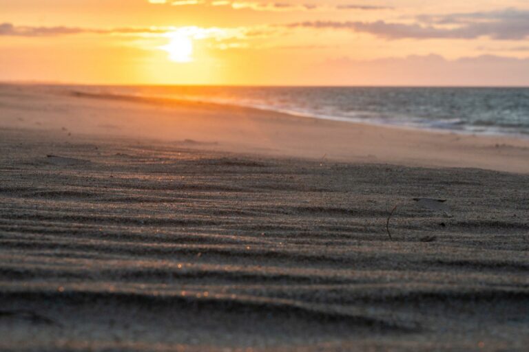 Lire la suite à propos de l’article Stage photo pour débutants – Île d’Oléron, 22 août 2025 | Apprendre la photo en Charente-Maritime