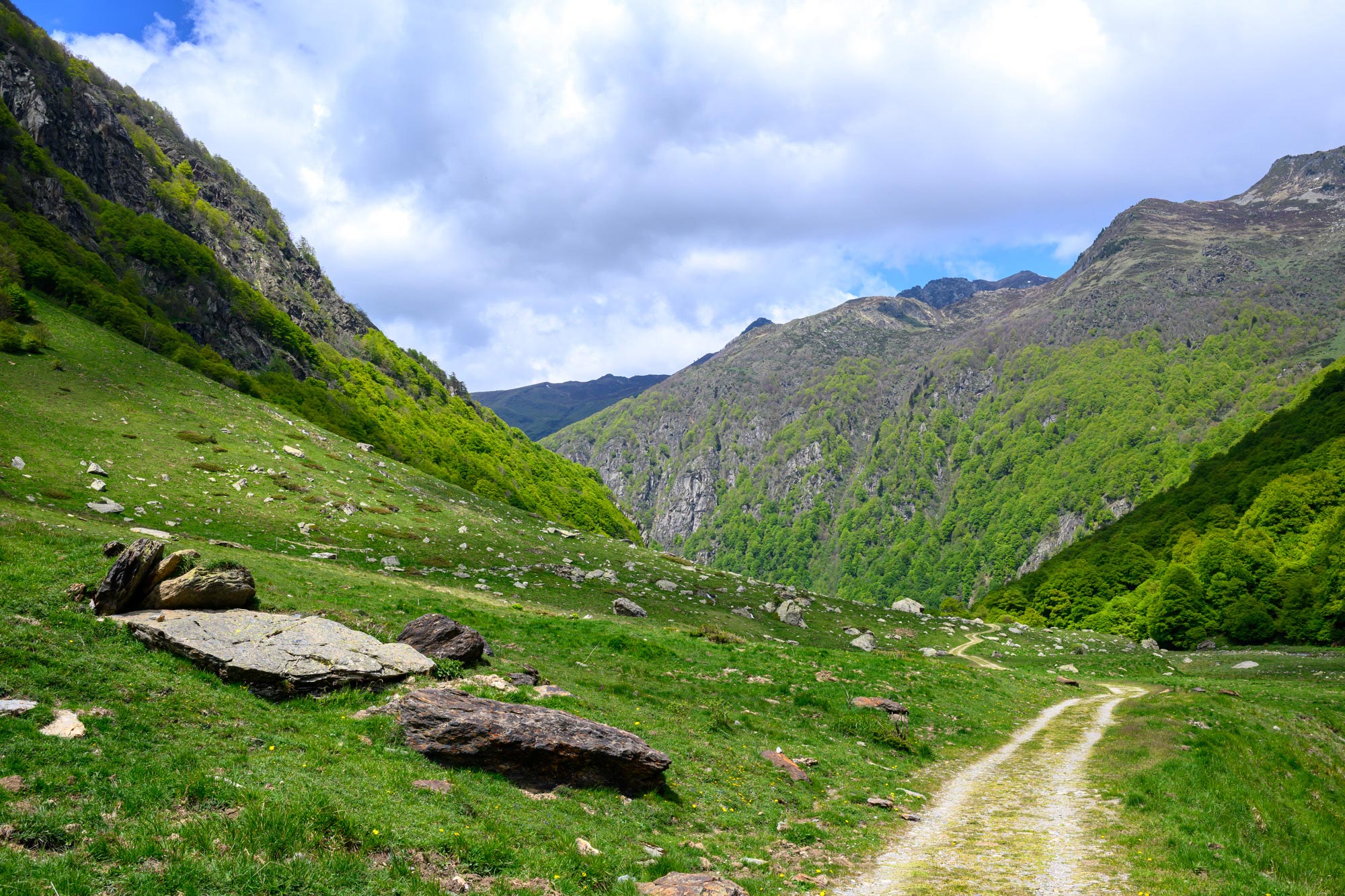 Lire la suite à propos de l’article Retour stage photo Pyrénées sauvages – Mai 2025