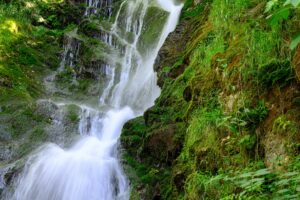stage_cascade_juin