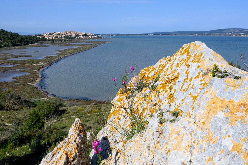 stage bages