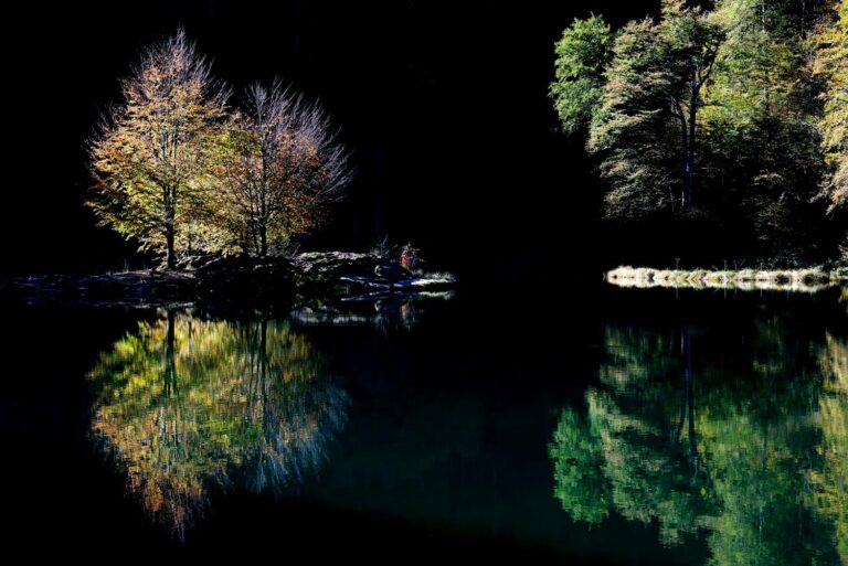 Lire la suite à propos de l’article Stage photo « Couserans Sauvage » – 17 octobre 2025