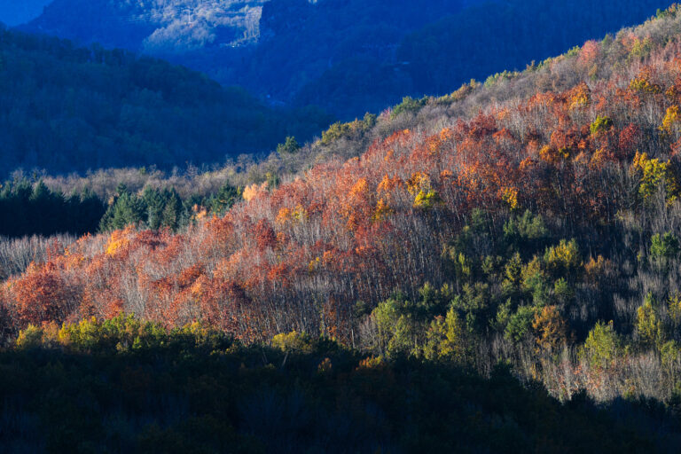Lire la suite à propos de l’article Stage photo “Automne sur les Pyrénées” – 31 octobre 2025 | Ariège Pyrénée