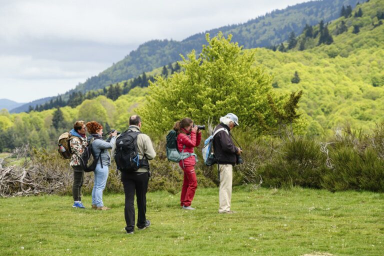 Lire la suite à propos de l’article Offrez un stage photo pour Noël avec un bon cadeau IP-Image