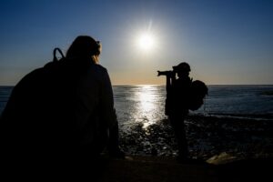 Rétrospective des Stages Photo Nature 2025