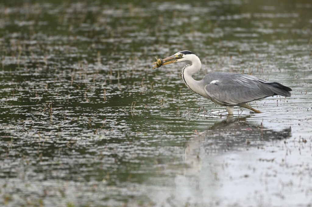 stage photo avec un professionnel