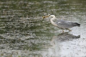 stage photo avec un professionnel