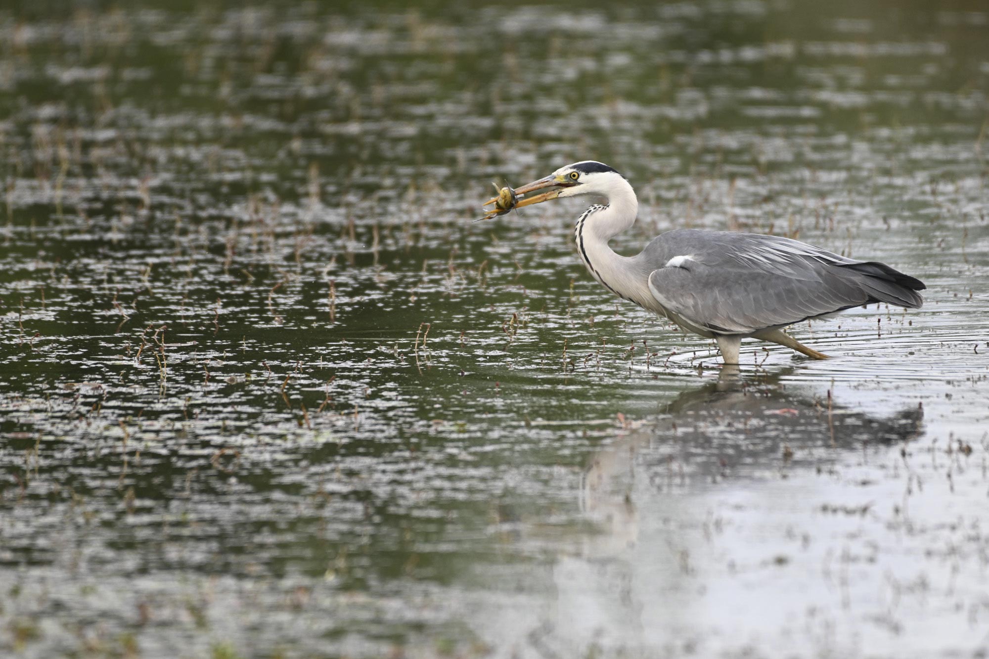 stage photo avec un professionnel