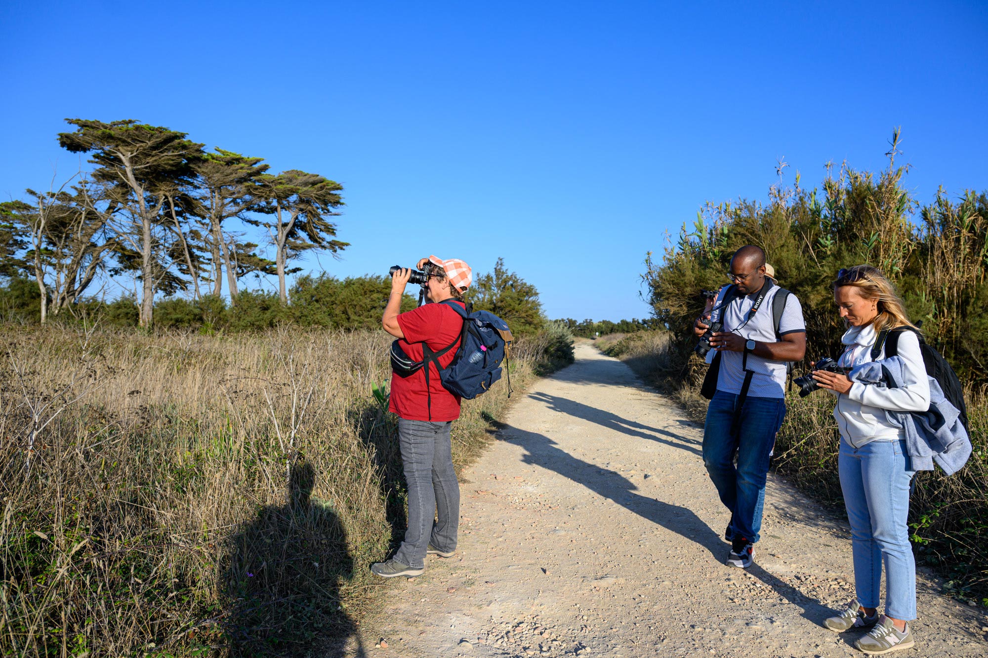 stage photo avec un professionnel