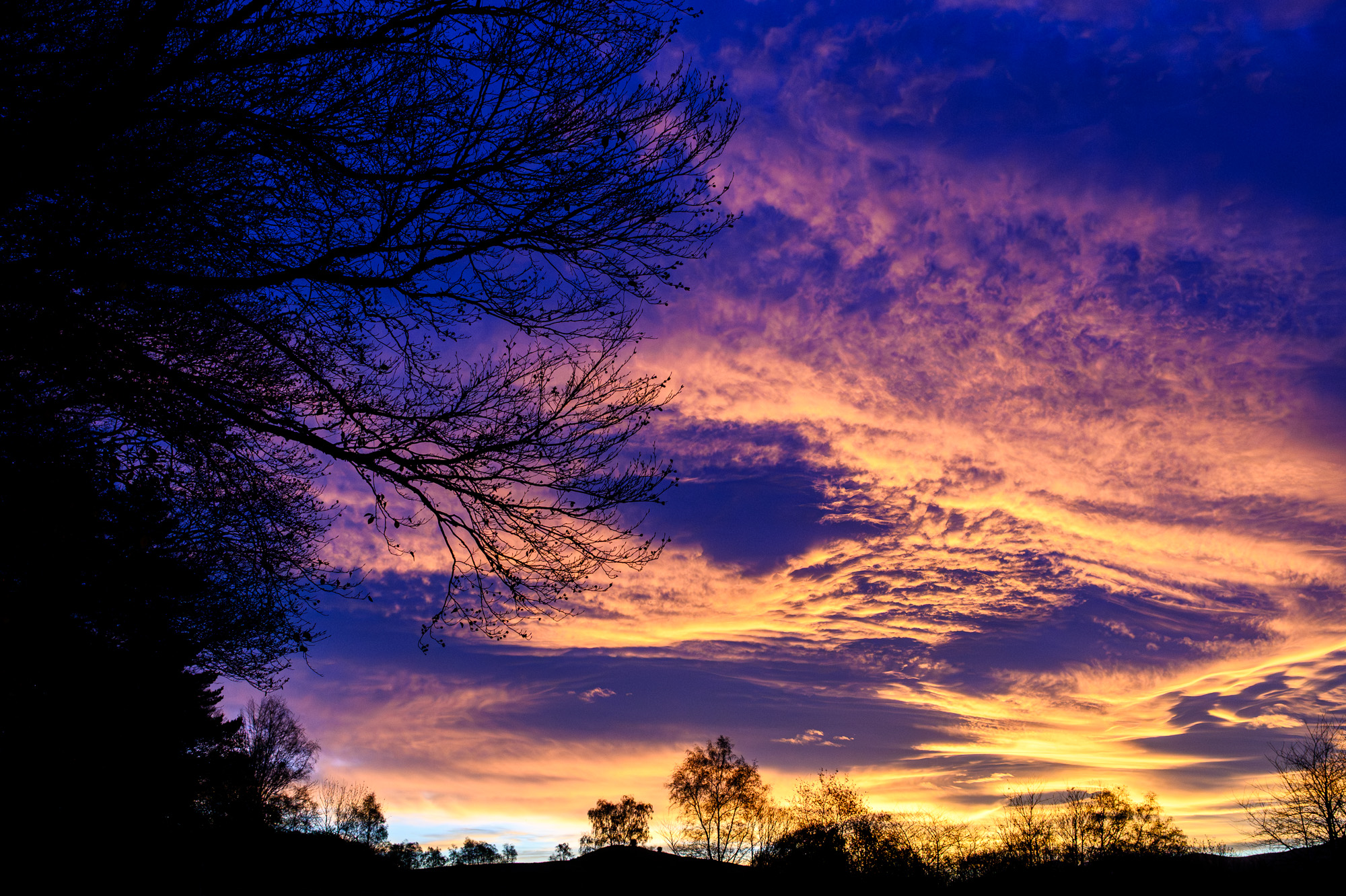 Lire la suite à propos de l’article Bonne année 2026