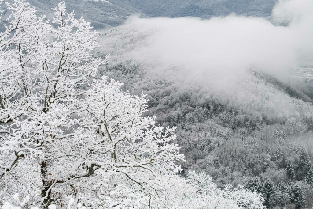 photographie en hiver