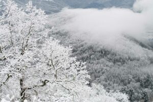 photographie en hiver